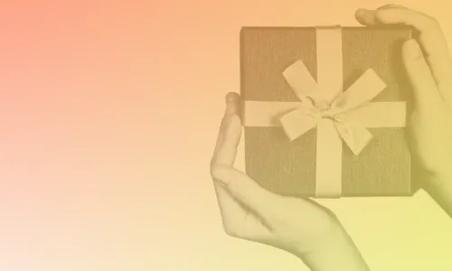 Hands holding a wrapped gift box
